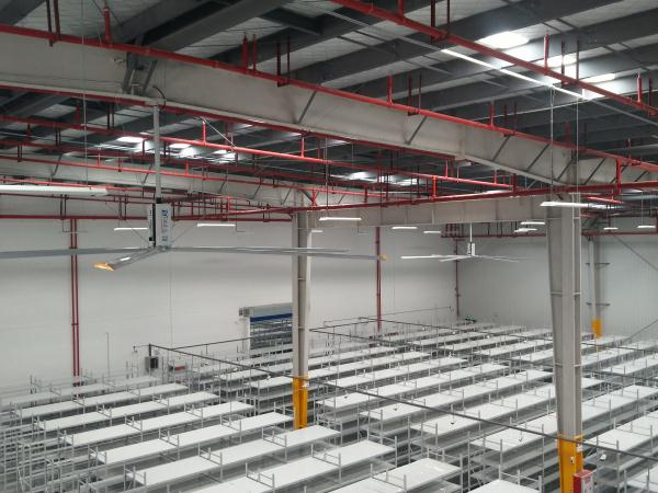 四川易倍emc网页版工业节能大吊扇厂家，提供专业降温方案